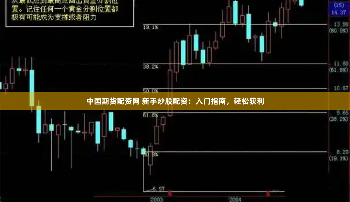 中国期货配资网 新手炒股配资：入门指南，轻松获利
