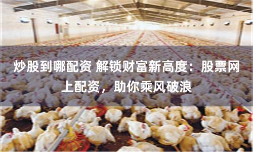 炒股到哪配资 解锁财富新高度：股票网上配资，助你乘风破浪