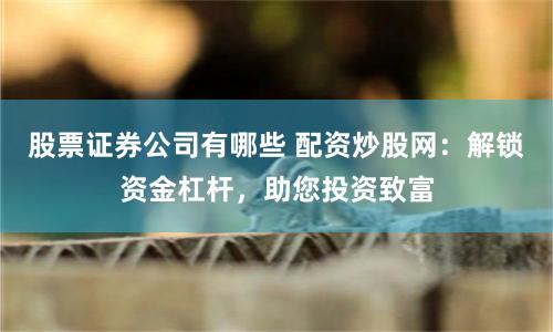 股票证券公司有哪些 配资炒股网：解锁资金杠杆，助您投资致富