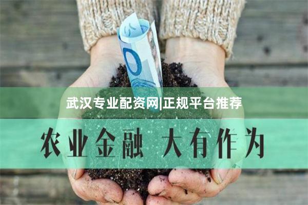 武汉专业配资网|正规平台推荐