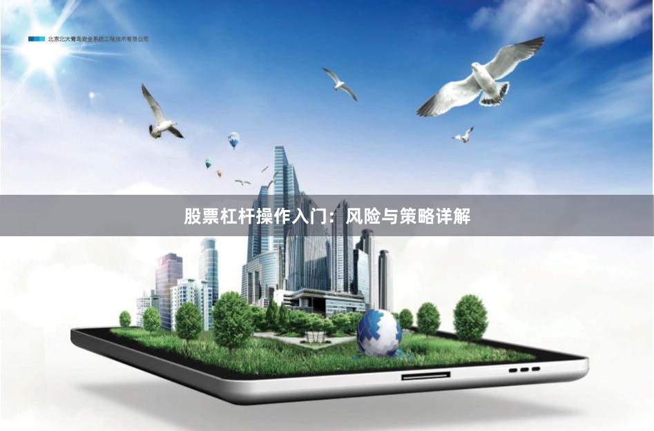 股票杠杆操作入门：风险与策略详解